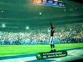 Madden 09 Stallworth TD