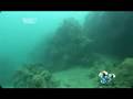 Check your reef with SAVE OUR SEAS