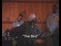 the bird the bird