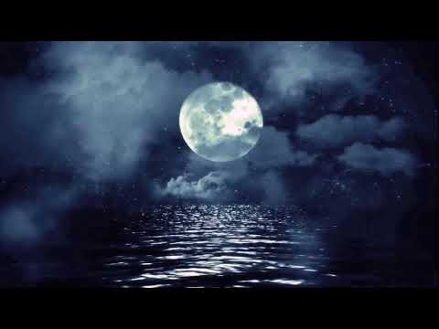 video-show
