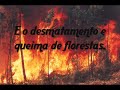 Efeito Estufa