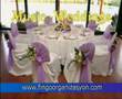 Fingo organizasyon