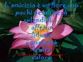 Amicizia �...