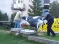 Raspolovljena krava..... Raspolovljena krava.....