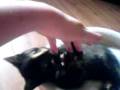 videos de Chello