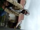 masti masti