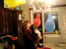 Dodge the french bulldog and baloons
