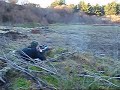 Mossberg 4x4, 270, sighting in