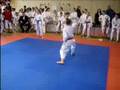 videos de Karate Club 