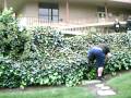 videos de Tyce Falling 2
