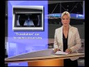 auto-news 2008_29