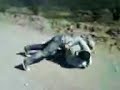 Tacleada Mikey-Cefal