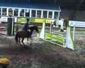 Pony Indoor Staphorst 2007 Pony Indoor Staphorst 2007