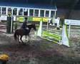 Pony Indoor Staphorst 2007