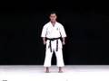 Karate Goju Ryu - Saifa
