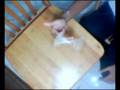 videos de cheat comssa combo