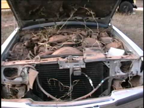 1990 Mercury Grand Marquis damaged fiberglass front end repair (part 1)