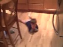 Meltdown with Daddy