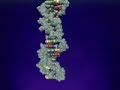 DNA STRUCTURE