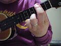 Long Haired Lady / Paul McCartney Cover