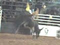 ** rodeo de sao pedro **