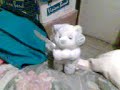 peluche asesino