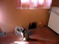 videos de fabiano e pietro