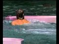 SURVIVOR THAILAND - IMMUNITY CHALLENGE