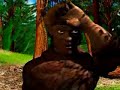 settlers of catan intro (dutch) settlers of catan intro (dutch)