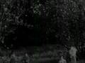 Re: Night of the Living Dead: Reanimated