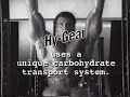 Frank Sepe Creatine Commercial Frank Sepe Creatine Commercial