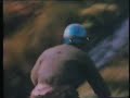 Two Stroke Cowboys
