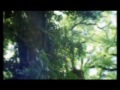 Cascades