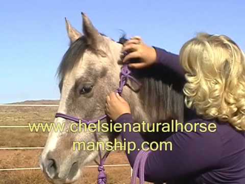 how to fasten rope halter