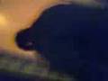 videos de remont kuchni