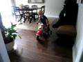 Riding my Indian Chief Inside