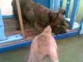 videos de 02122008(001).3gp