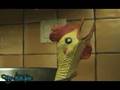 Chicken Time is Running Out
