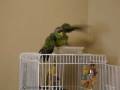 videos de Lily Takes a bath