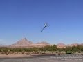 RC: Der Helicopter-Weltmeister 2006 zeigt seine Tricks