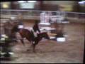 videos de Hope the wonder pony in her first special class - Adult Jumper Classic Lvl 3 on 02-08.mpg