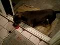 Thermo @ 11 weeks 9/6/08