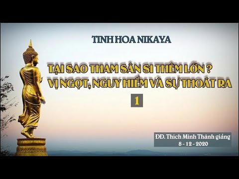 Tinh Hoa NIKAYA - TẠI SAO THAM SÂN SI THÊM LỚN ? VỊ NGỌT, NGUY HIỂM VÀ SỰ THOÁT RA 1