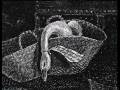 William Hogarth Peregrinations