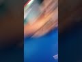 Video kongkek Video kongkek