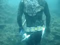 Spearfishing Georgalis-Pathiakis