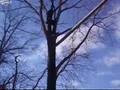 videos de Project Adventure - Zip Line Adam