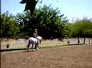 Amuleto half pass