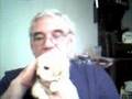 Re-Small-Cute-Puppy