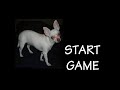 First Youtube Video Game - Dawg Catcher